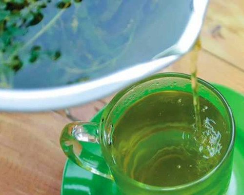 Meniran, Tanaman yang Juga Penghancur Batu Ginjal