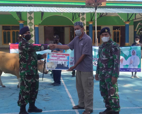 Danlanal Maumere Sumbang Sapi untuk Qurban Idul Adha