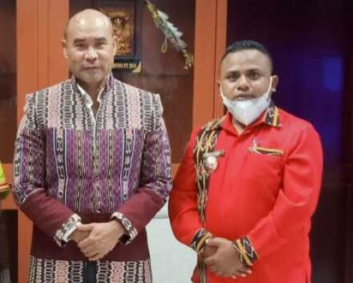 Cerita Kades Diperintah Masyarakat untuk Bertemu Gubernur NTT karena Urusan Listrik