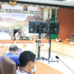 Wagub NTT Minta PLN Jangan Bertele-tele Urus PLTP di Flores