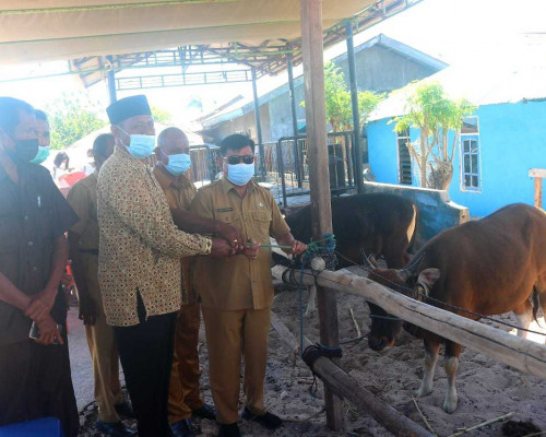 Jerman Serahkan Hewan Qurban bagi Masjid di Tablolong 