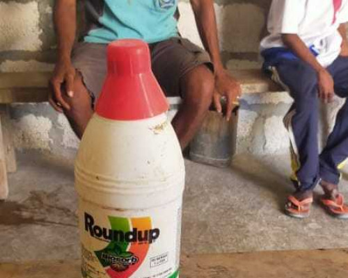 Warga Kupang Akhiri Hidup dengan Pembasmi Rumput