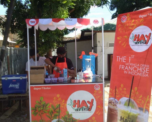 Dekranasda NTT Perkenalkan Warlaba Berbasis Kelor Pertama di Indonesia 