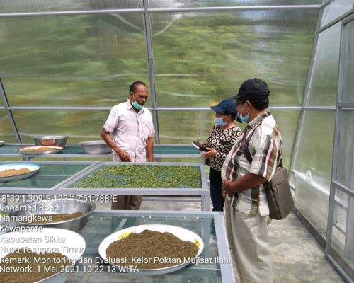 Poktan di NTT Produksi Kopi dan Teh Kelor Mujizat