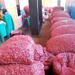 Kapal Dialihkan, Bawang dari Pulau Semau Menumpuk