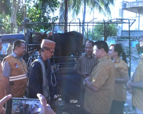Hanura NTT Berbagi Hewan Kurban Idul Adha