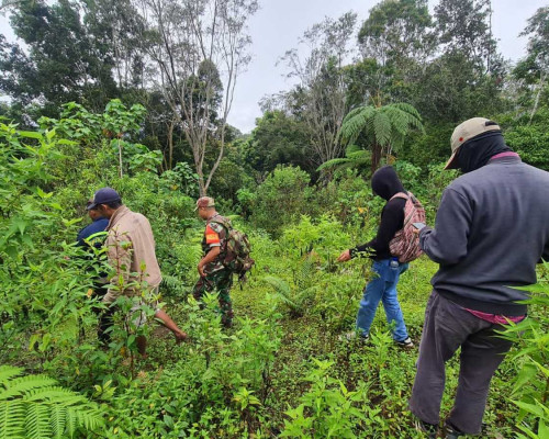 PLN Mulai Pengadaan Lahan PLTP Mataloko