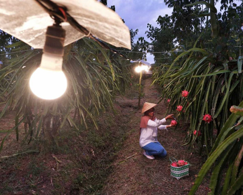 PLN Siap Dorong Ekonomi dengan Listrik Andal