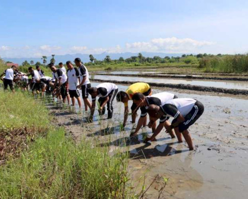 Kapolres Kupang Sulap Lahan Tidur Jadi Produktif