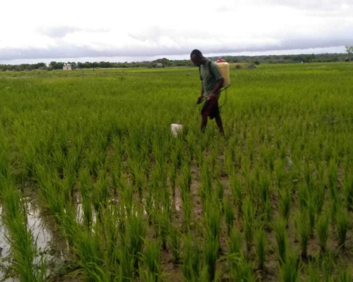 BPS NTT Paparkan Indeks Harga Konsumen dan Inflasi Februari