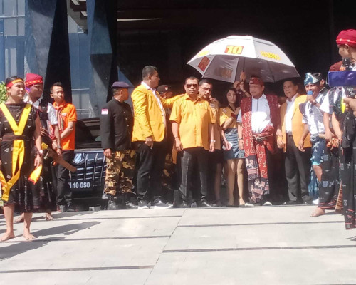 Ketum Hanura OSO Disambut Sembelih Kerbau
