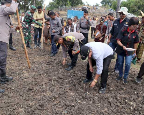 Polsek Sulamu Garap 40 Ha Lahan