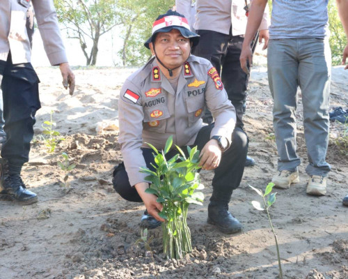 Polres Kupang Tanam Seribu Manggrove
