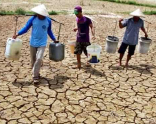 Bupati Kupang Tetapkan Empat Kecamatan Waspada Bencana Kekeringan