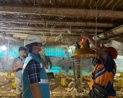 Program Electrifying Agriculture PLN Tumbuh 22,28 Persen