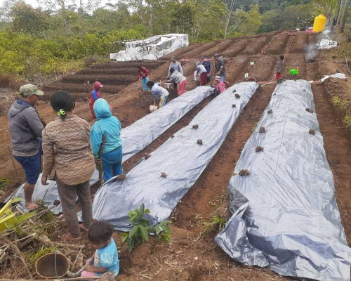 "Desa Berdaya" hadir di Manggarai
