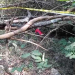 Diduga Bunuh Diri di Jembatan Liliba