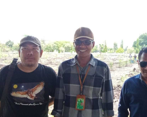 Sebanyak 909 Anakan Pohon Siap Ditanam