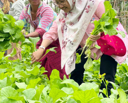 Koordinator Srikandi PLN Bali-Nusra Raih Pos Kupang Award