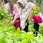 Koordinator Srikandi PLN Bali-Nusra Raih Pos Kupang Award