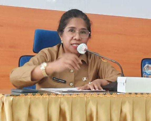 Dinkes NTT Antisipasi Penyakit Berbahaya Asal China