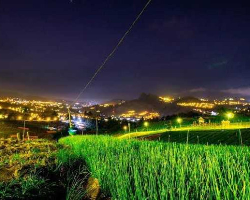 Program Electrifying Agriculture Bawa PLN Tingkat Global