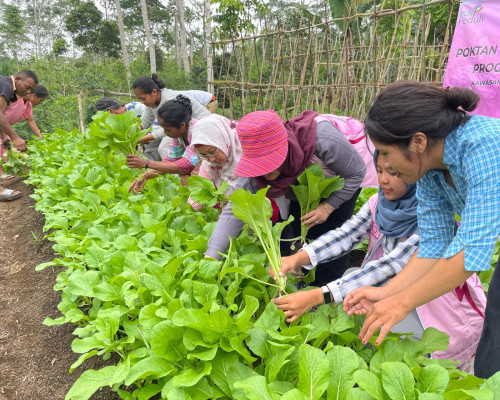 PLN Kembangkan Sektor Potensial di Kawasan PLTP Ulumbu