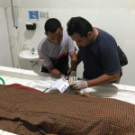 Napi Korupsi di Kupang Meninggal Dunia