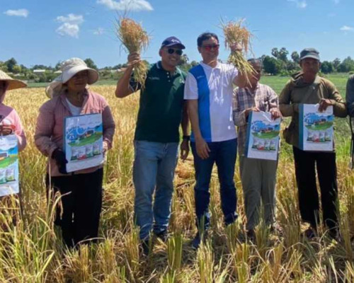 Inspirasi Kegigihan Petani Rote Hadapi Tantangan Alam Demi Ketahanan Pangan