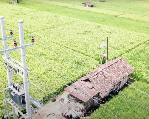 Tambah Pelanggan 3,5 Juta, Kunci Membaiknya Kinerja PLN 2023 
