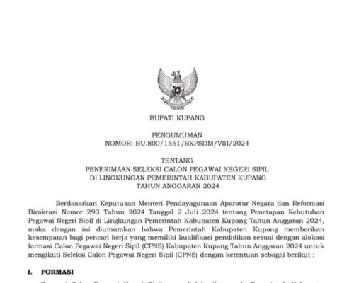 Pemkab Kupang Buka 600 Formasi CPNS 2024, Ada Formasi Disabilitas 