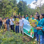 Bapelitbangda Kabupaten TTU dan LP2M Unimor Panen Simbolis Kacang Merah Lokal Eban    KEFAMENANU, NT