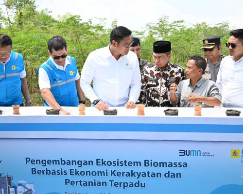 Terus Kembangkan Bahan Co-Firing Biomassa, PLN dan Kementan Luncurkan Model Pertanian Terpadu