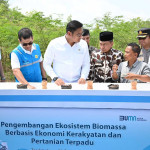 Terus Kembangkan Bahan Co-Firing Biomassa, PLN dan Kementan Luncurkan Model Pertanian Terpadu