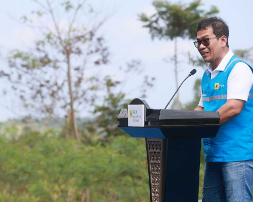 Terus Kembangkan Bahan Co-Firing Biomassa, PLN dan Kementan Luncurkan Model Pertanian Terpadu