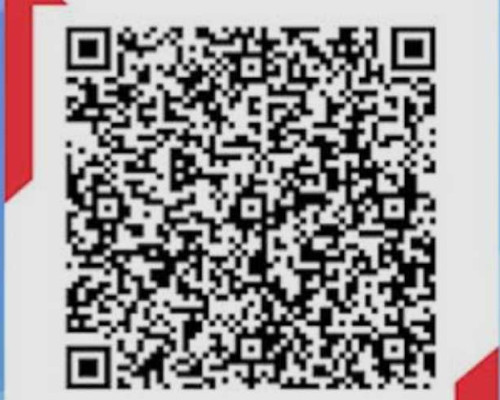 Benarkah Pakai QRIS Dapat Potongan PPN 12 Persen