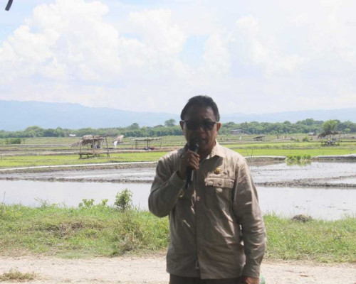 Alexon Lumba Canangkan Gerakan Petani Cepat Tanam Padi di Kabupaten Kupang