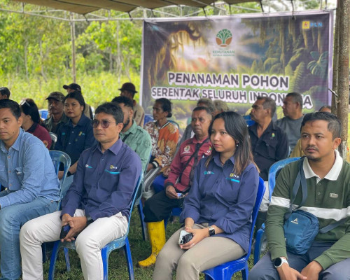 PLN UIP Nusra bersama UPT KPH Wilayah TTS Sebar Ratusan Bibit Pohon di Pulau Timor 