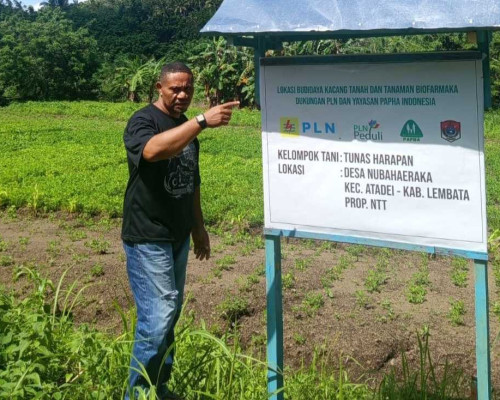 PLN UIP Nusra Lanjutkan Program TJSL di Lembata, Perkuat Pelatihan Petani dan Sarana Air Bersih 