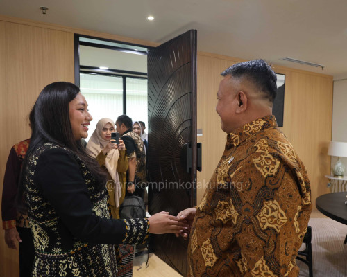 Wakil Wali Kota Kupang Bertemu Wamen UMKM, Perjuangkan Penguatan UMKM di Kota Kupang 
