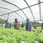 Masyarakat Tomohon Hidup Sejahtera Meski Berdampingan Dengan PLTP Lahendong