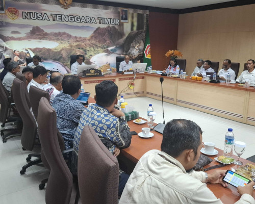 Pemprov NTT dan PT PLN Kembali Bahas Isu Pengembangan Geothermal di Flores dan Lembata