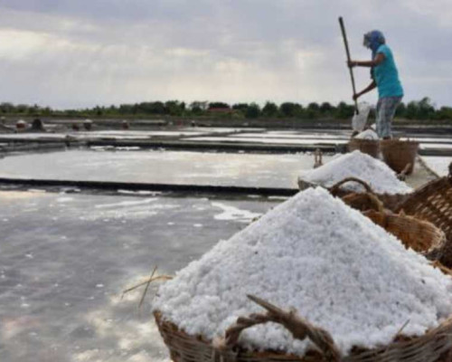 Tambak Garam di NTT Akan Serap 25 ribu Tenaga Kerja Lokal