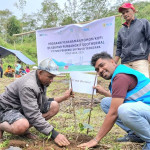 HLH Sedunia, PLN UIP Nusra Gandeng Petani Poco Leok Tanam 4.800 Anakan Kopi di Kawasan PLTP Ulumbu