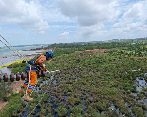 Wujud Kontribusi ke Negara, PLN Setor Rp65,59 Triliun Lewat Dividen, Pajak dan PNBP