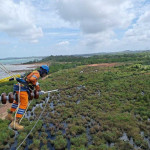 Wujud Kontribusi ke Negara, PLN Setor Rp65,59 Triliun Lewat Dividen, Pajak dan PNBP