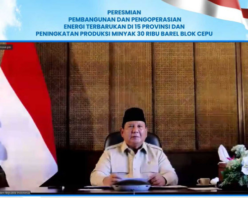 47 PLTS Diresmikan Presiden, 5.383 RT di Wilayah 3T Kini Nikmati Listrik Bersih
