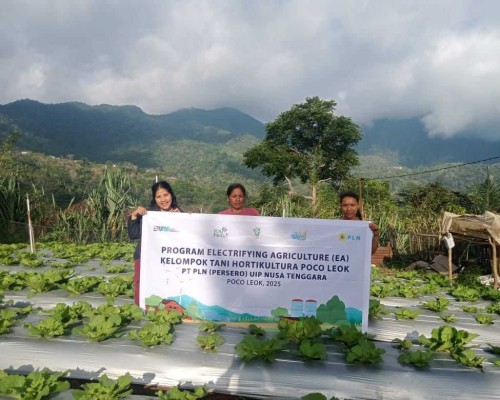 PLN Dorong Pertanian Modern di Poco Leok Lewat Program Electrifying Agriculture