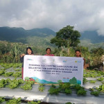 PLN Dorong Pertanian Modern di Poco Leok Lewat Program Electrifying Agriculture