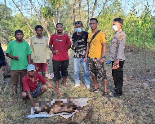 Geger..!! Mayat Tanpa Identitas Ditemukan di Hutan Mangrove Malaka Barat